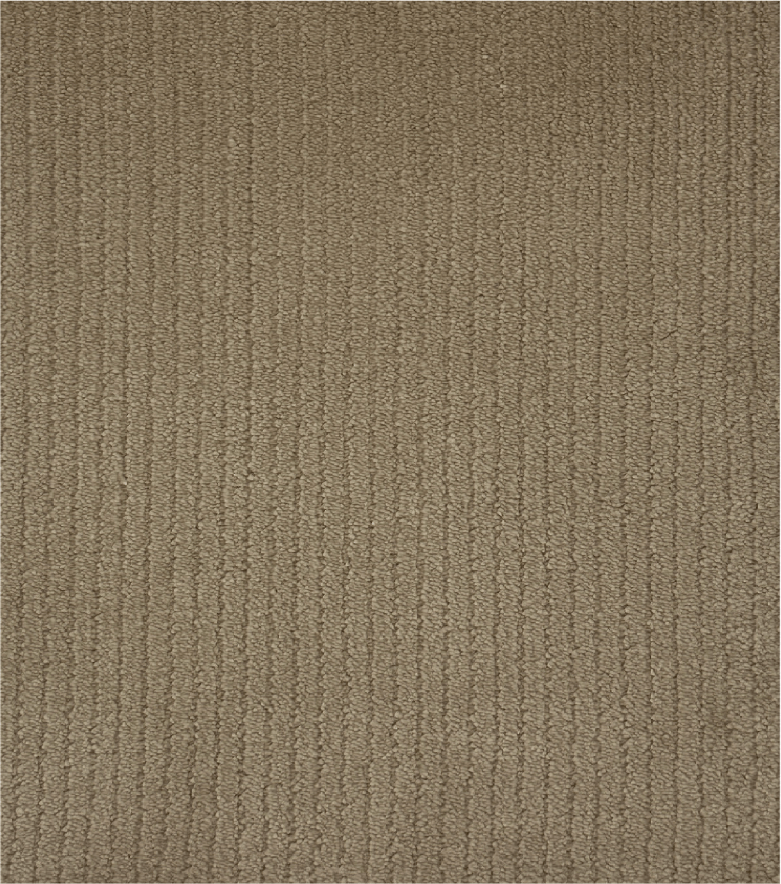 Cut Pile Carpet-AVRASYA