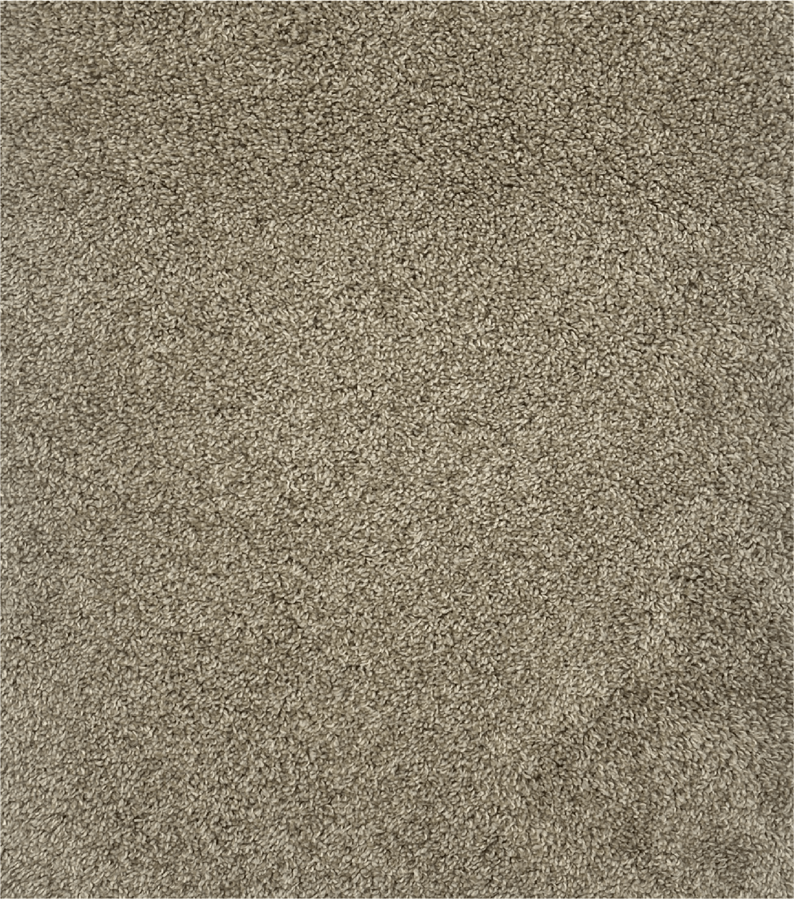Cut Pile Carpet-GARDENIA