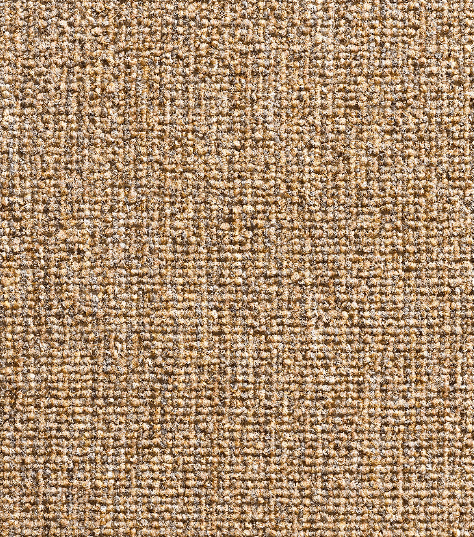 Loop Pile Carpet-MALCOM