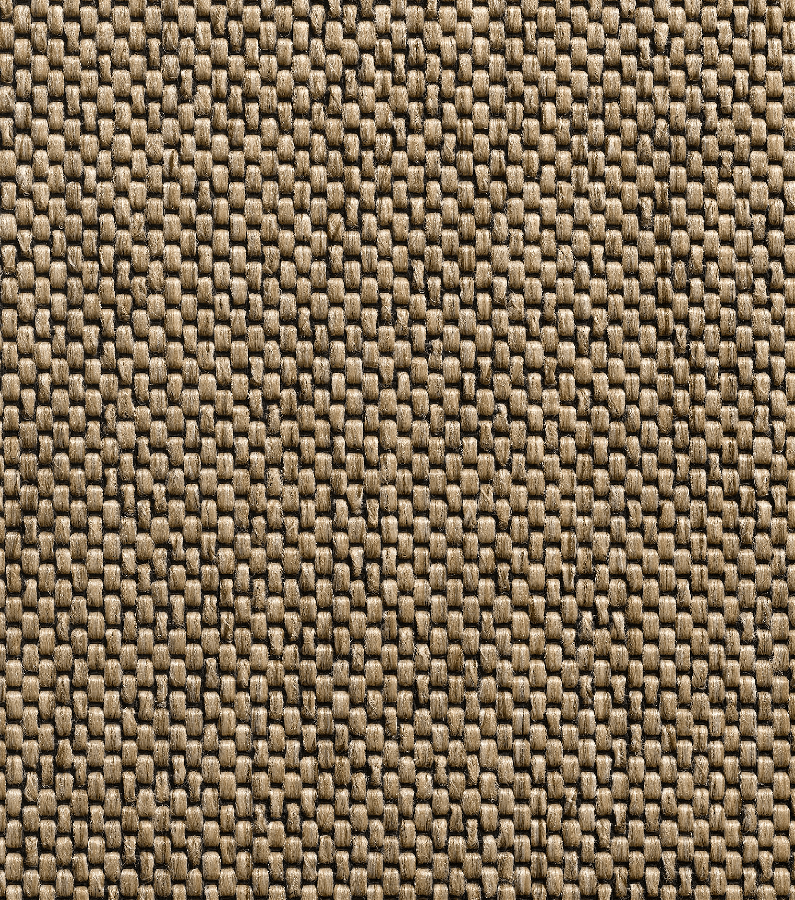 Loop Pile Carpet-SABANGATE